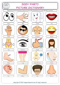 Body Parts 2