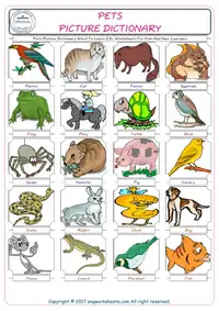 Pets