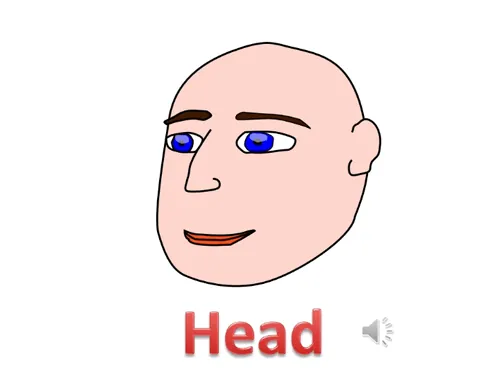 Body Parts