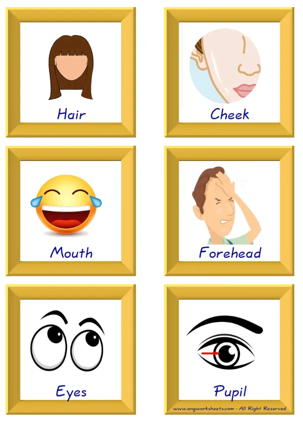 ESL Flashcard together with words containing Face Parts picture for kids and teachers.