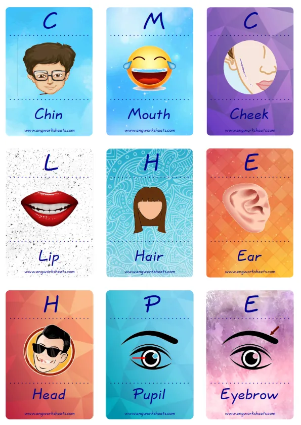Mini size enjoyable ESL Flashcard Face Parts for kids and teachers.