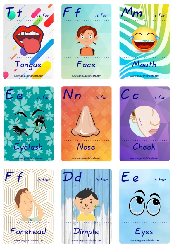 Mini size ESL Flashcard Face Parts for kids and teachers.