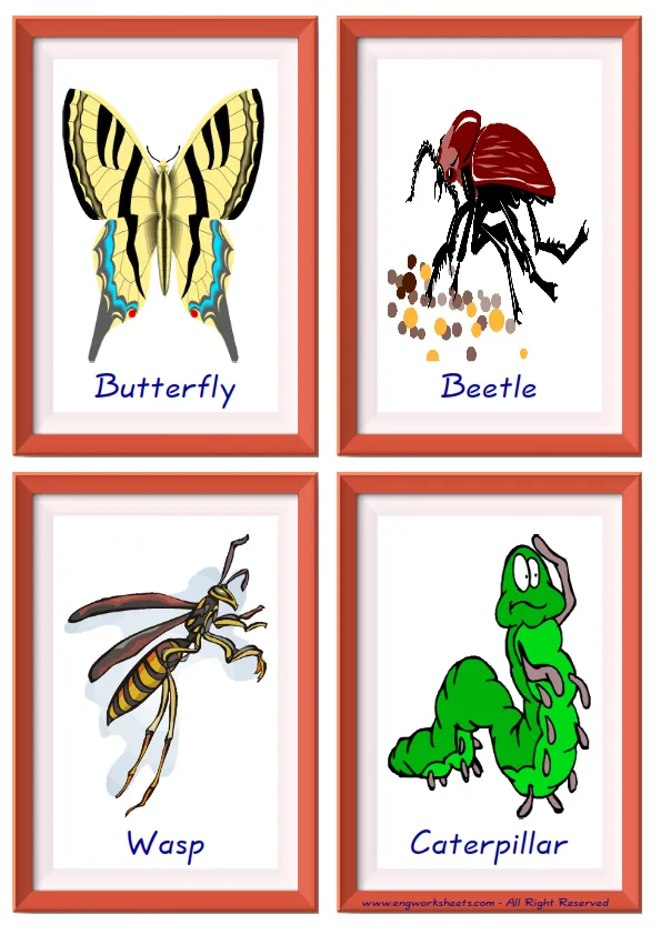 Quarter page ESL Flashcard together with words containing Insects picture for kids and teachers.