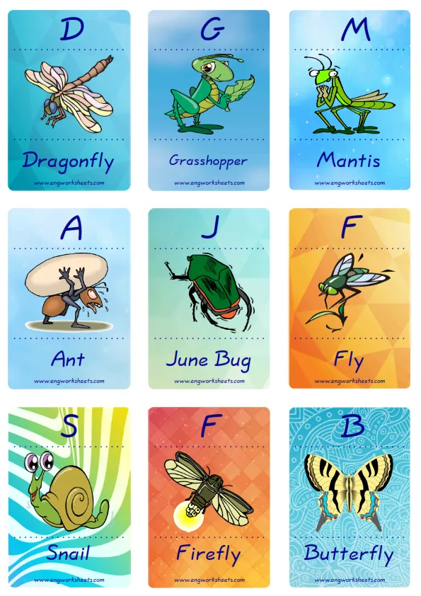 Mini size enjoyable ESL Flashcard Insects for kids and teachers.