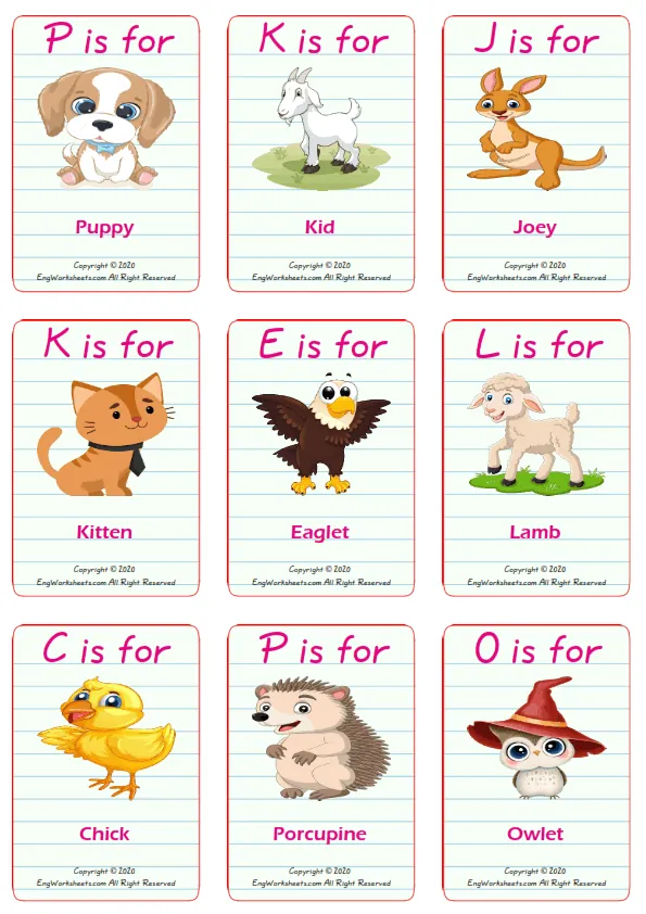 Baby Animals vocabulary worksheet with words, nine images per page Worksheet Preview