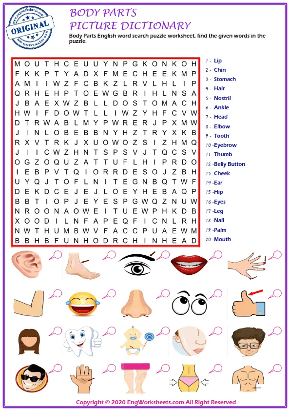 Body Parts English word search puzzle worksheet, find the given words in the puzzle. Worksheet Preview