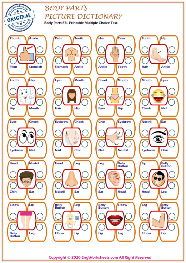 Body Parts ESL Printable Multiple Choice Test. Worksheet Preview