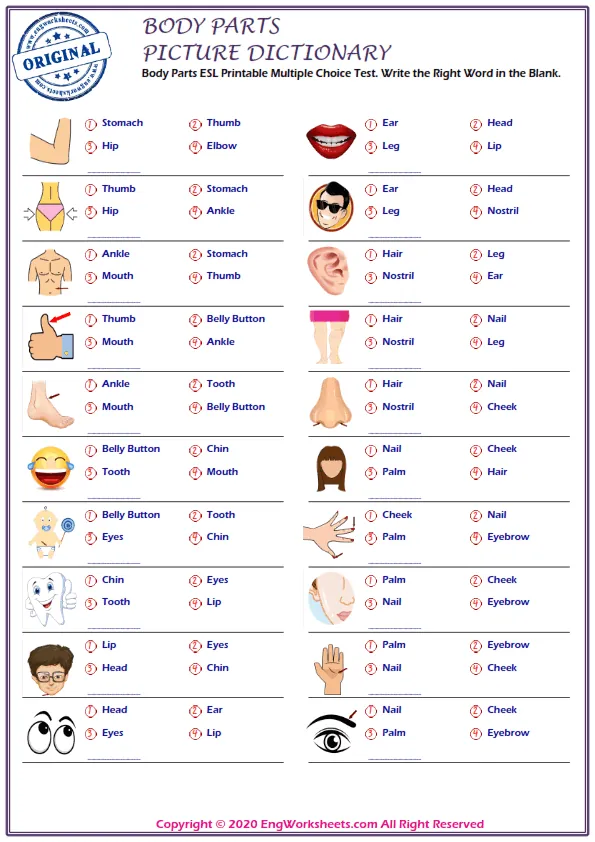 Body Parts ESL Printable Multiple Choice Test. Write the Right Word in the Blank. Worksheet Preview