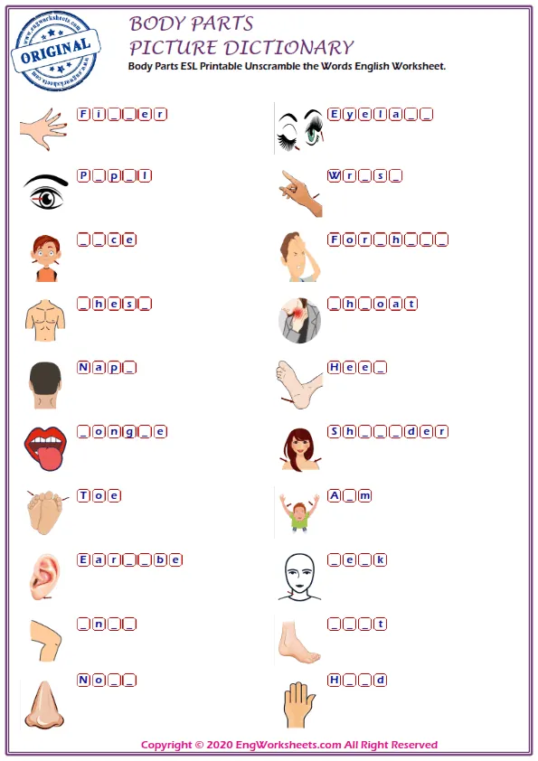 Body Parts ESL Printable Unscramble the Words English Worksheet. Worksheet Preview