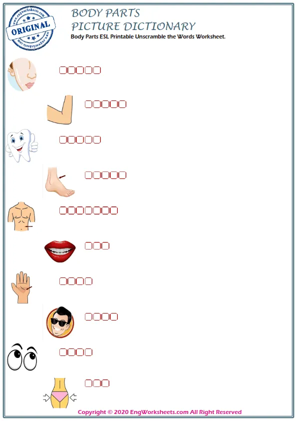 Body Parts ESL Printable Unscramble the Words Worksheet. Worksheet Preview