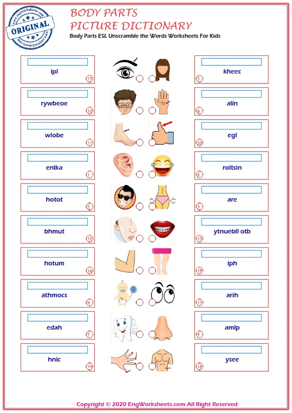 Body Parts ESL Unscramble the Words Worksheets For Kids Worksheet Preview