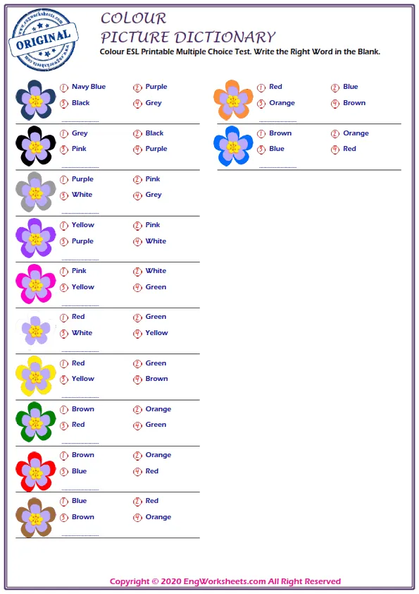 Colour ESL Printable Multiple Choice Test. Write the Right Word in the Blank. Worksheet Preview