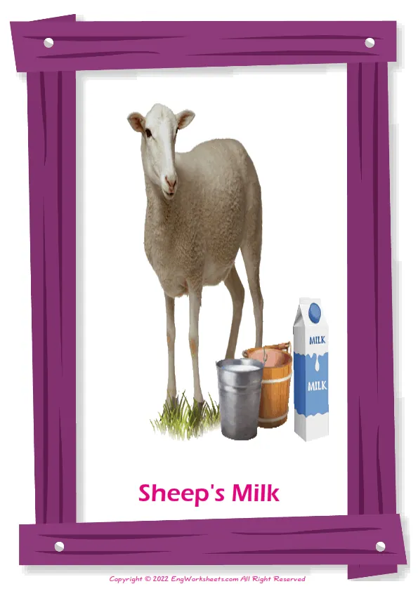 Full-page wordless Dairy Produce English vocabulary worksheet Worksheet Preview