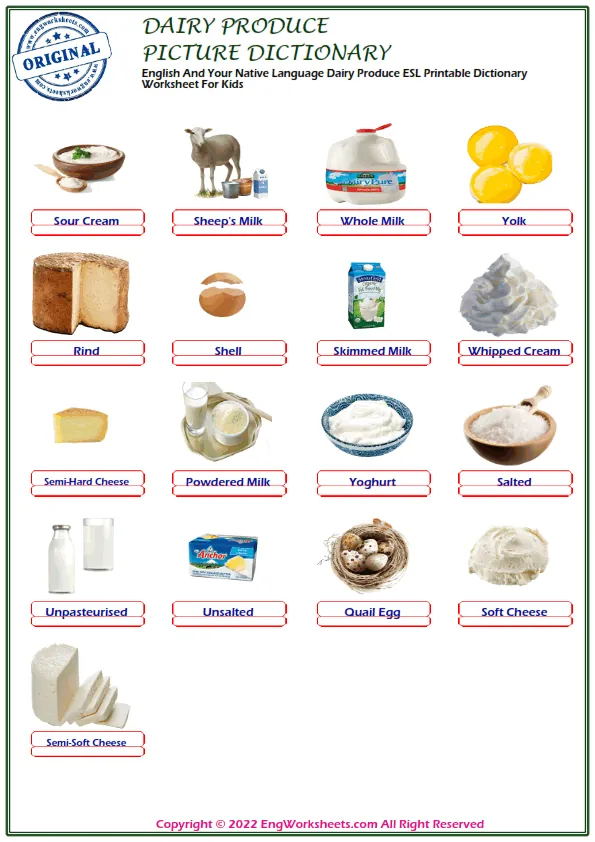English And Your Native Language Dairy Produce ESL Printable Dictionary Worksheet For Kids Worksheet Preview