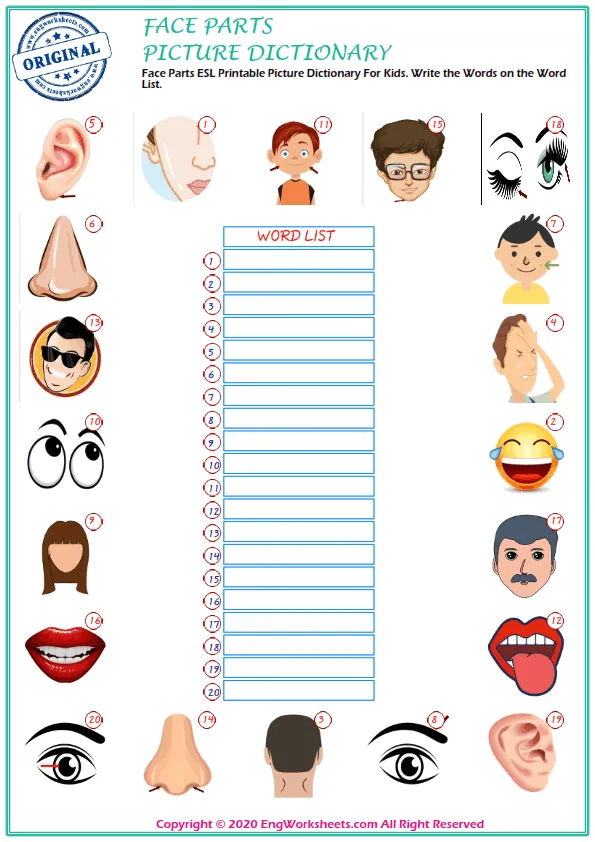 Face Parts ESL Printable Picture Dictionary For Kids. Write the Words on the Word List. Worksheet Preview