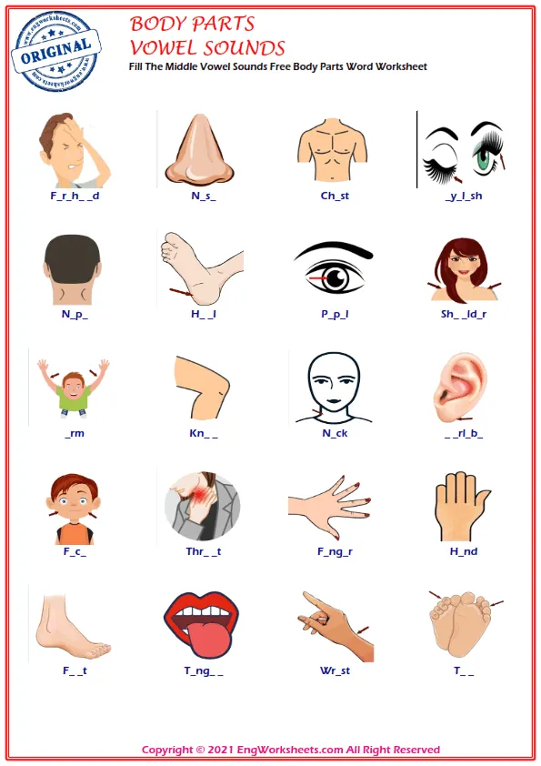 Fill The Middle Vowel Sounds Free Body Parts Word Worksheet Worksheet Preview
