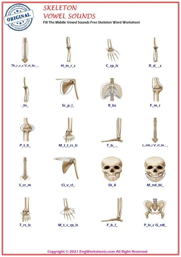 Fill The Middle Vowel Sounds Free Skeleton Word Worksheet Worksheet Preview