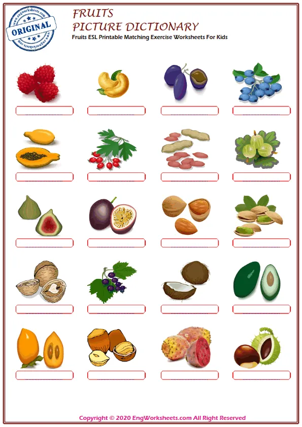 Fruits ESL Printable Matching Exercise Worksheets For Kids Worksheet Preview
