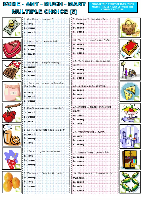 Some Any Much Many Worksheet Preview