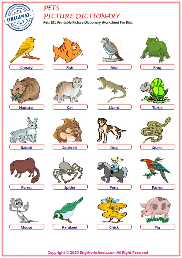 Pets ESL Printable Picture Dictionary Worksheet For Kids Worksheet Preview