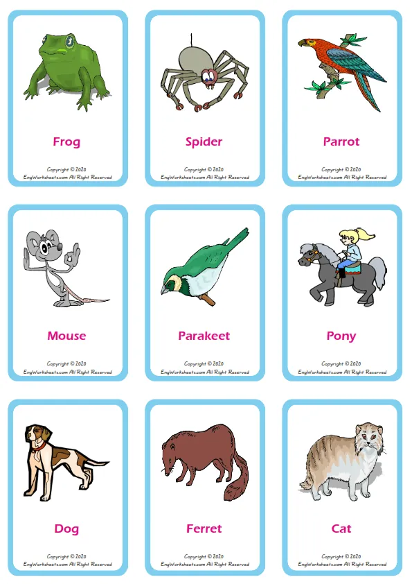 Pets vocabulary worksheet with words, nine images per page Worksheet Preview