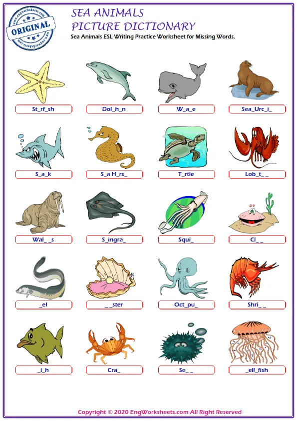 Sea Animals ESL Writing Practice Worksheet for Missing Words. Worksheet Preview