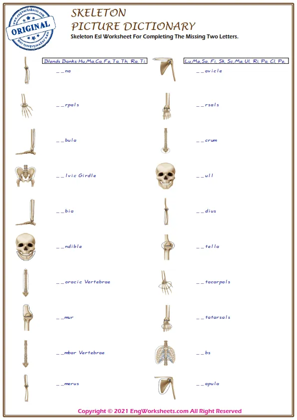 Skeleton Esl Worksheet For Completing The Missing Two Letters. Worksheet Preview