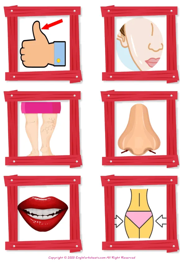 Wordless Body Parts vocabulary worksheet with six images per page Worksheet Preview