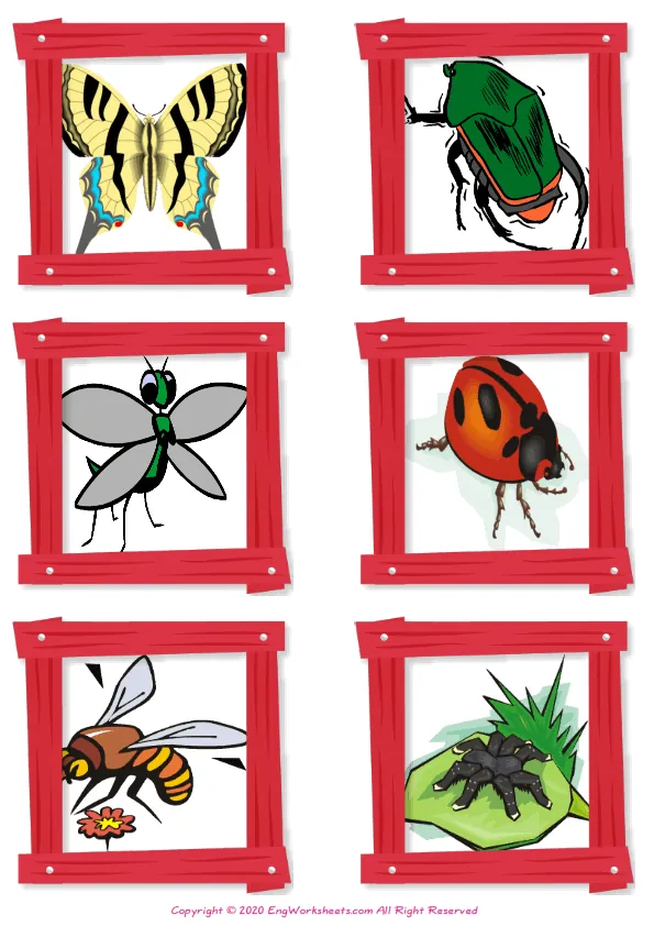 Wordless Insects vocabulary worksheet with six images per page Worksheet Preview